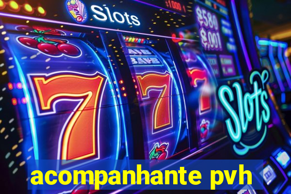 acompanhante pvh